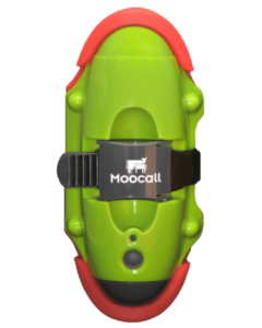 Avertizor pentru contractii vaca