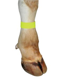 Bratara de marcaj detasabila cu scai