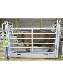 Cantar pentru animale AniScale