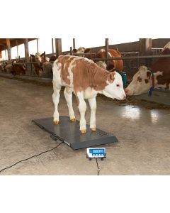 Cantar pentru animale