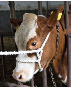 Capastru funie 230cm