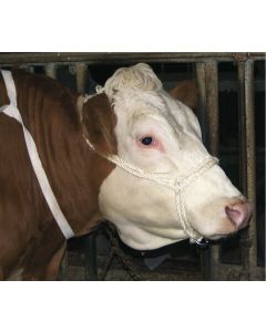 Capastru impletit pentru vaci