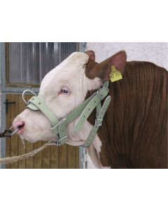 Capastru reglabil din piele