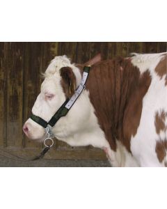 Capastru vaci cu lant de bot