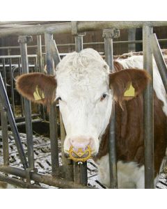 Dispozitiv de intarcat