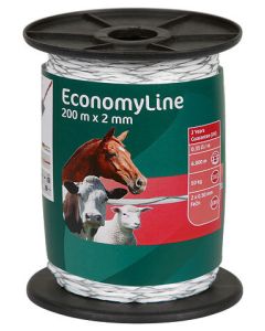 Fir Economyline in cruce