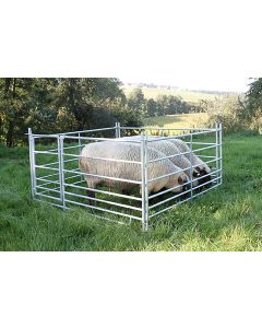 Panou pasune oi cu poarta, 92 cm inaltime