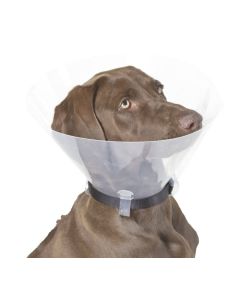 Guler medical pentru caini 30 cm