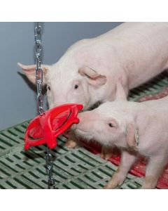 Inel de ros pentru purcei