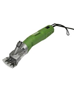 Masina de tuns oi Constanta 4