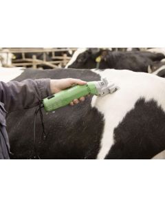 Masina de tuns animale Constanta 4