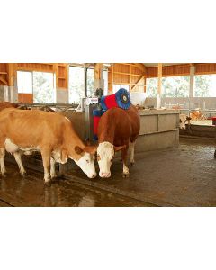 Perie de rezerva Happy Cow Duo orizontala