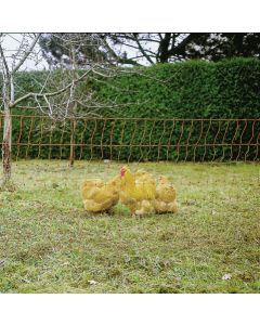 Plasa gard electric pentru pasari