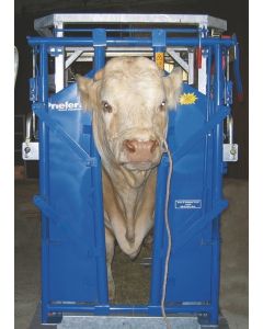 Poarta de prindere model Priefert