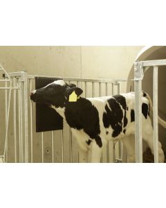 Saltea cauciuc de scarpinat pentru vaci si cai