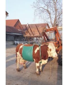 Sistem de ridicare pentru vaci