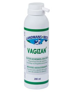 Spuma de ingrijire Vagizan