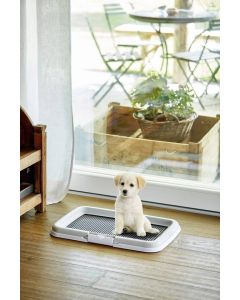 Toaleta pentru caini