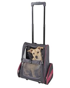 Troler transport caini