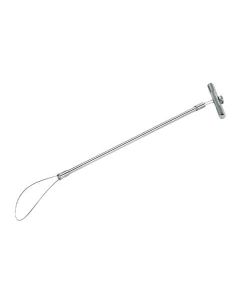 Forceps porci