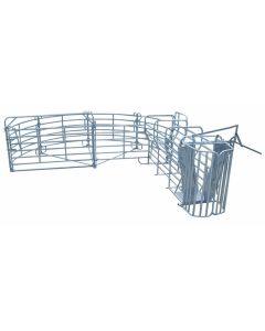 Set tarc de prindere si tratament pentru bovine cu coarne