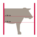 Categorie Gard electric pentru vaci image