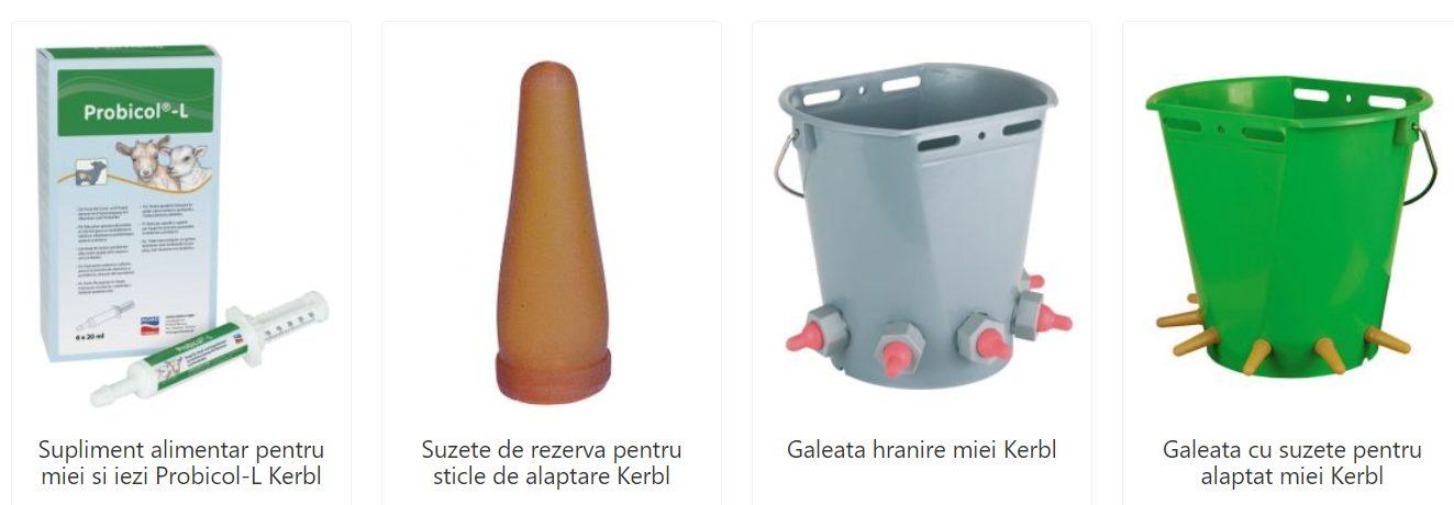 Sfaturi pentru hranirea si intarcarea mieilor
