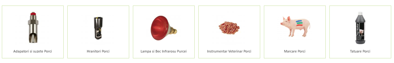 Creșterea porcilor: Sfaturi și recomandări