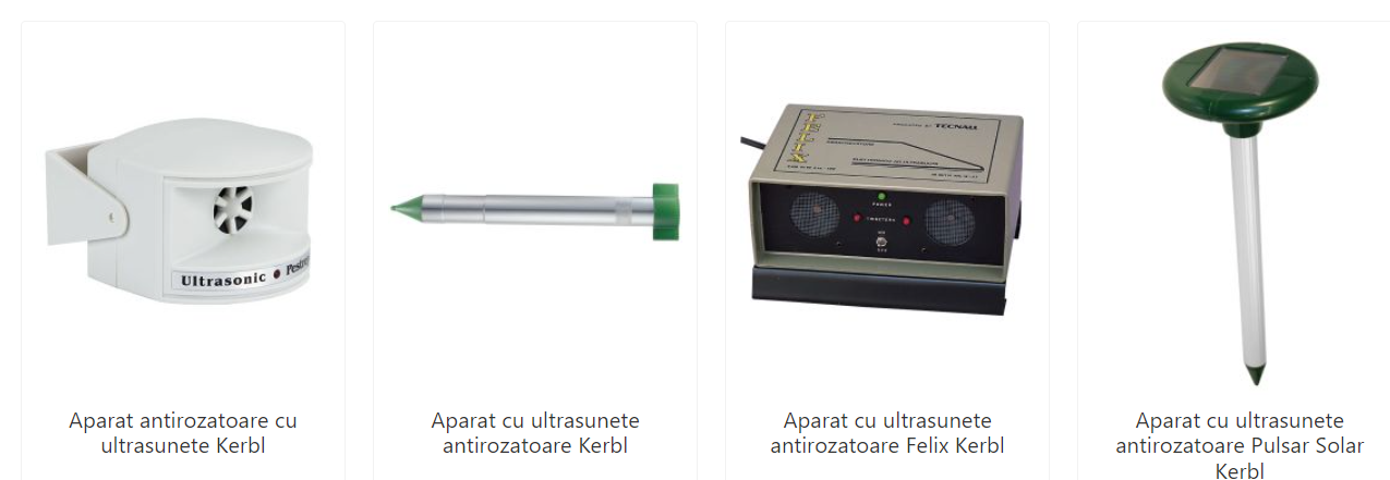 Cum scapi de vulpi: Cele mai eficiente metode