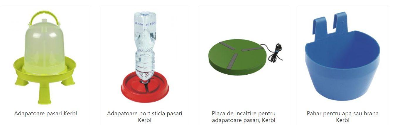 Sfaturi de îngrijire, hrană și tratament pentru pui