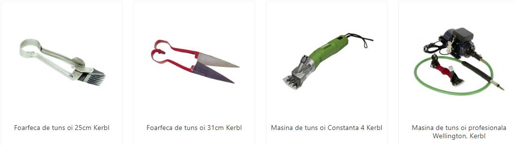 Tot ce trebuie să știi despre creșterea oilor