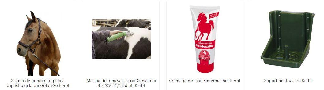 Cum creezi cele mai bune condiții pentru caii tai