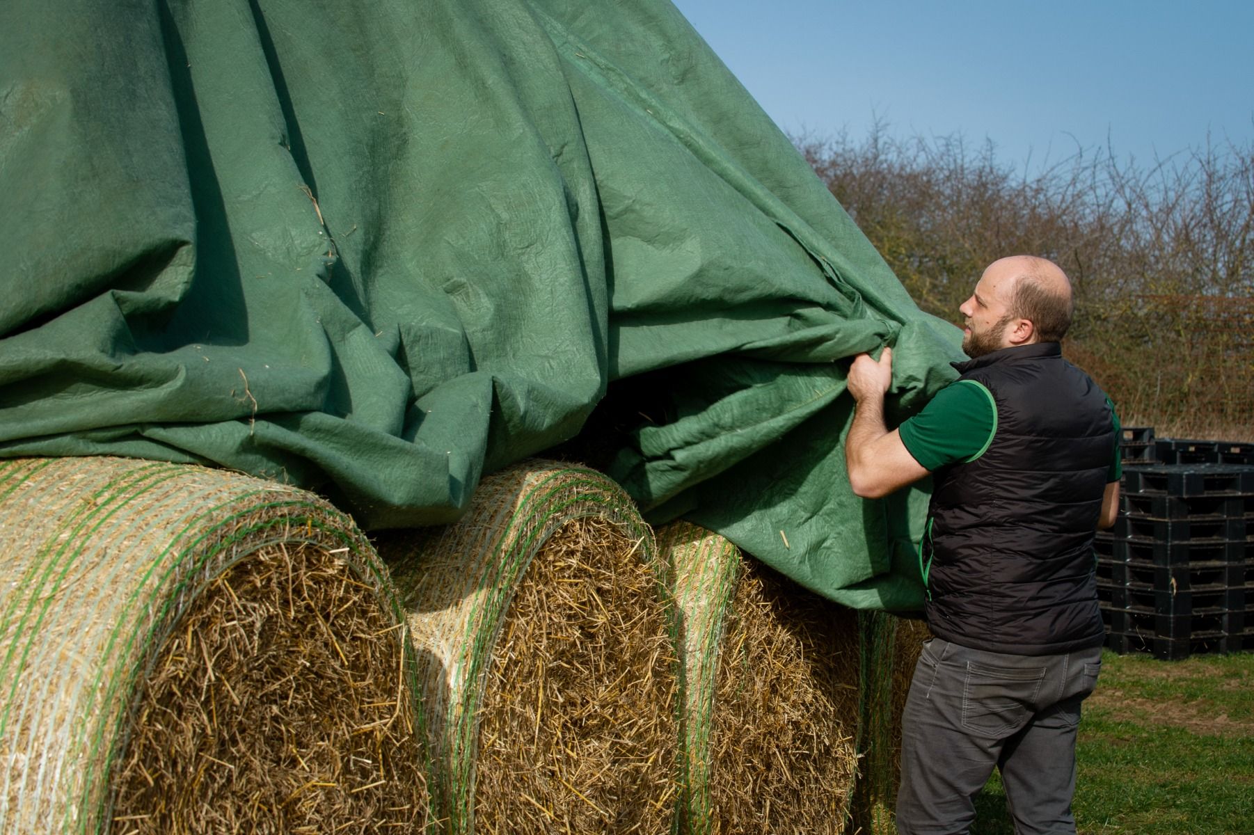 Fermier care acopera balotii rotunzi de paie folosind prelata verde toptex